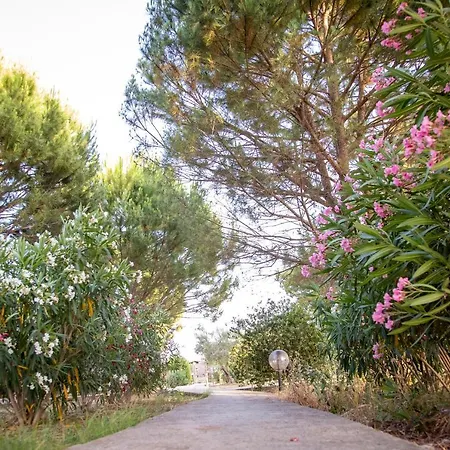 Campeggio Spalla Country