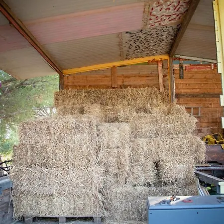 Spalla Country